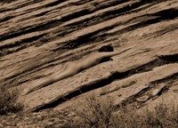 Fine Art Nudes_02